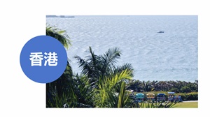 赴港人才请关注：香港人才签证涨价、投资移民门槛正式下调，布局AI产业，公务员冻薪缩编……