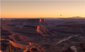 美国只爱精英：H-1B变政，留在美国不再纯拼运气